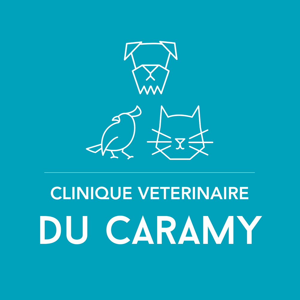 Clinique vétérinaire Caramy à Brignoles