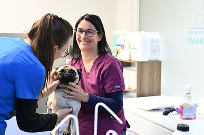 C-Chirurgie Chirurgie