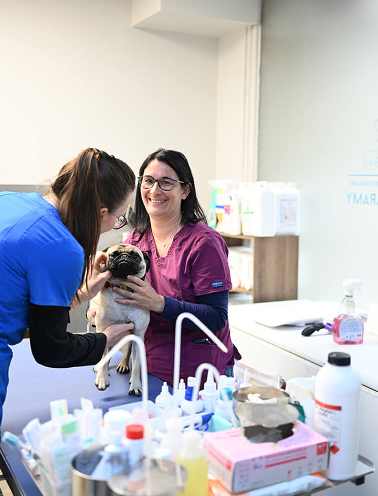 Caramy Clinique vétérinaire à Brignoles