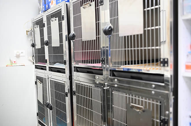 C-Hospitalisation Hospitalisation