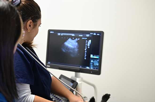 C-Imagerie Analyses et imagerie